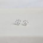 Aros Dog Plata 925
