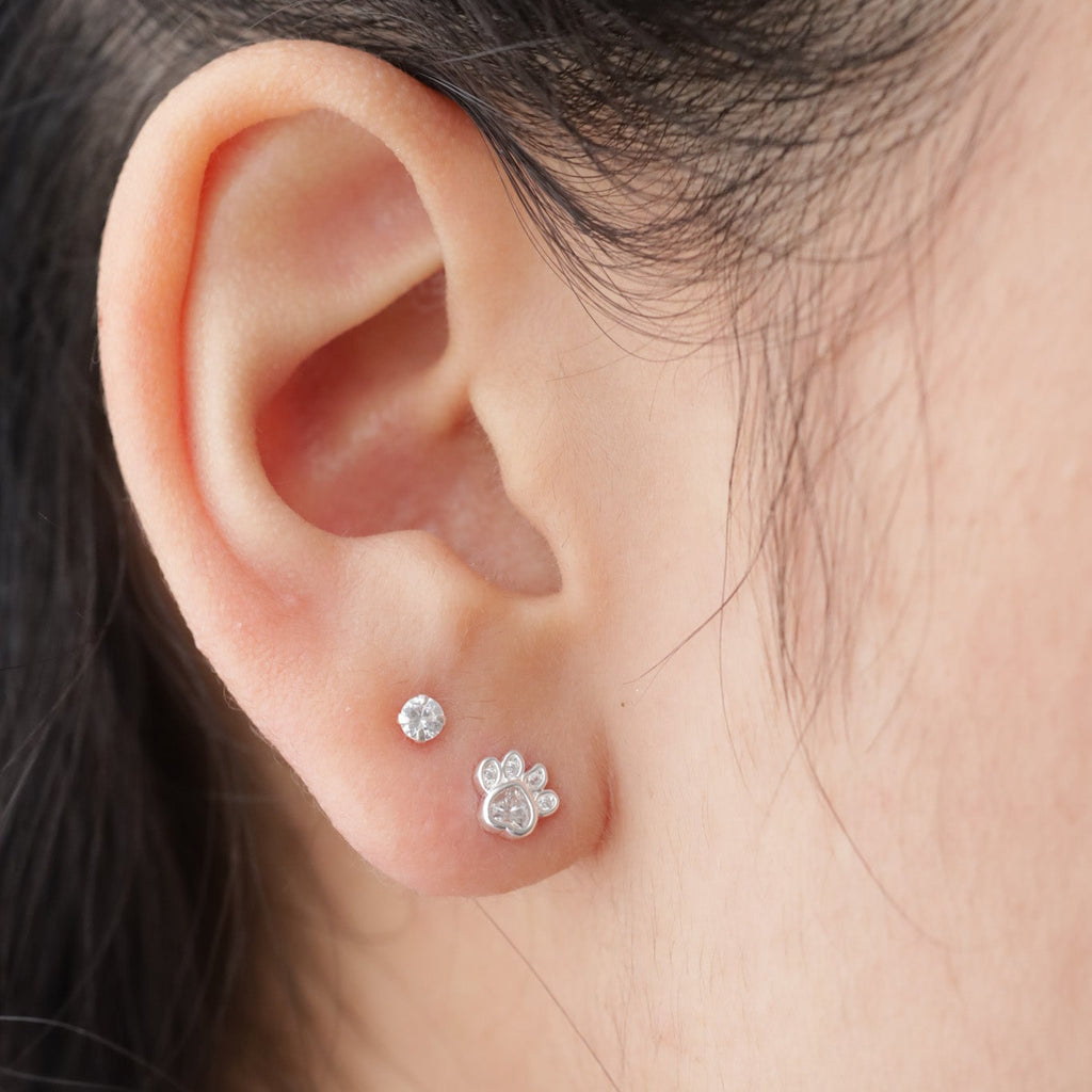 Aros Dog Plata 925